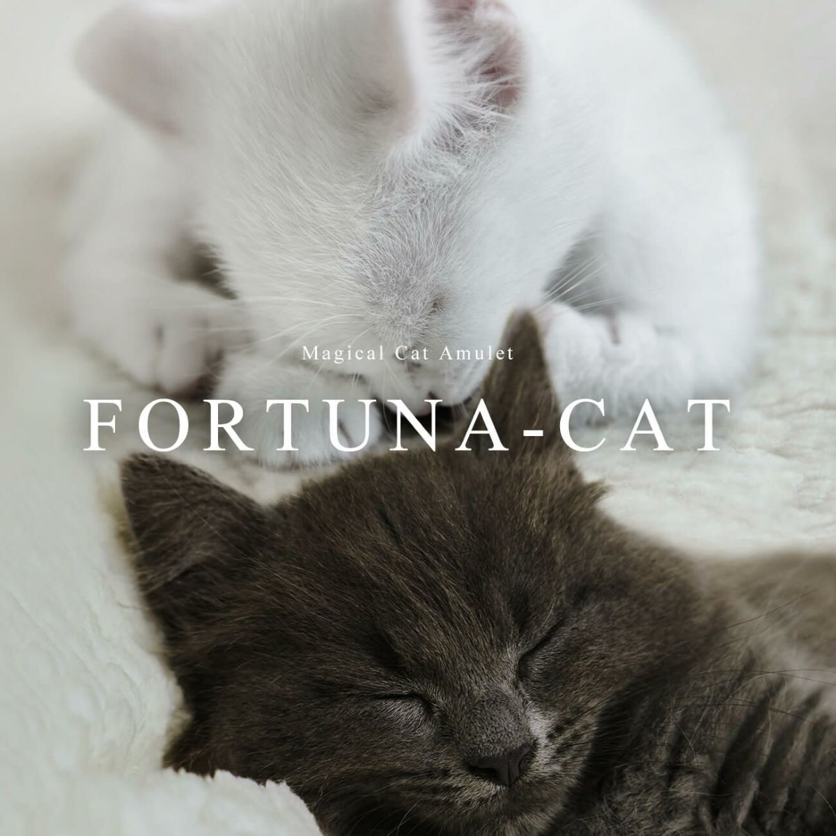 FORTUNA CAT RING