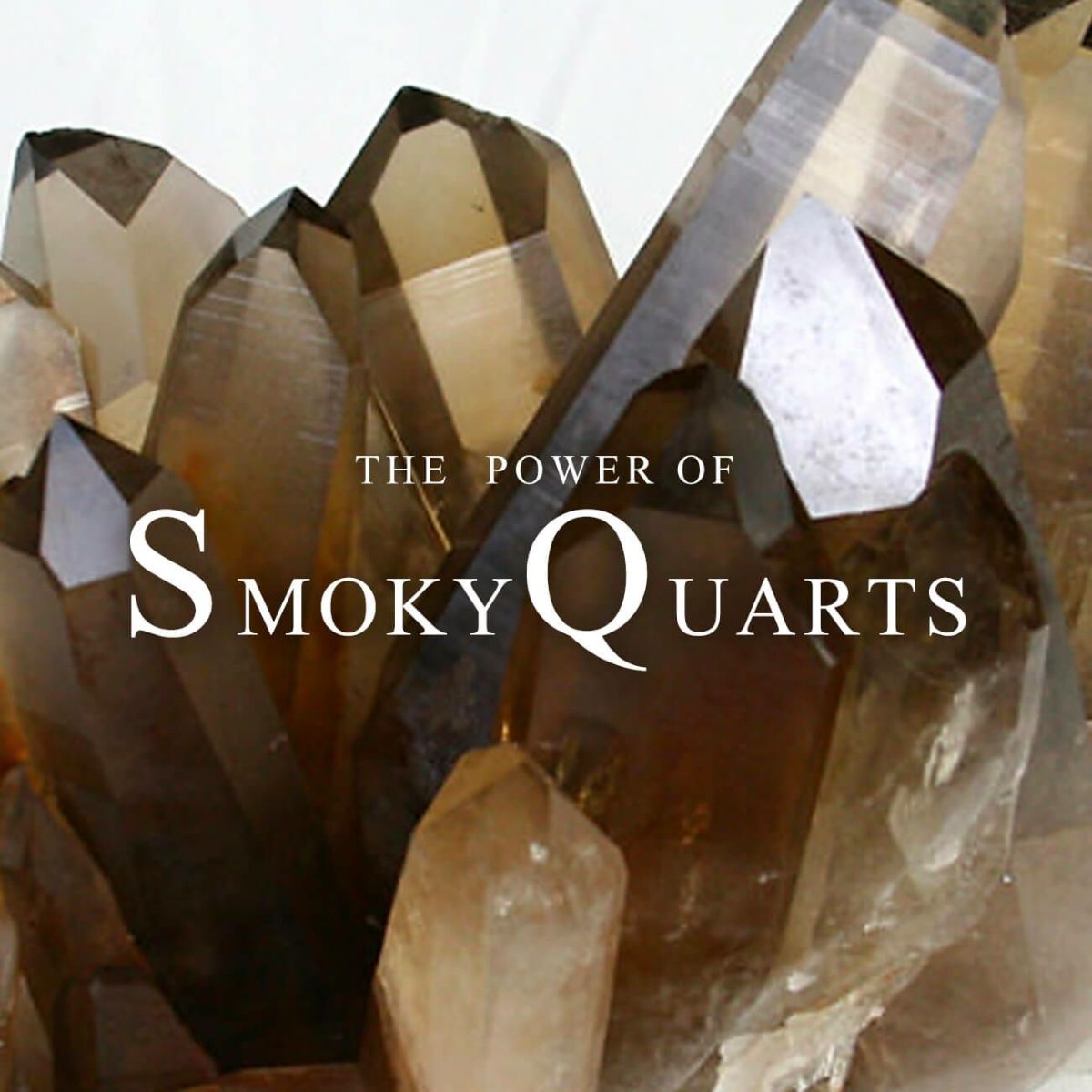 LACHTARA FYRA PIERCE