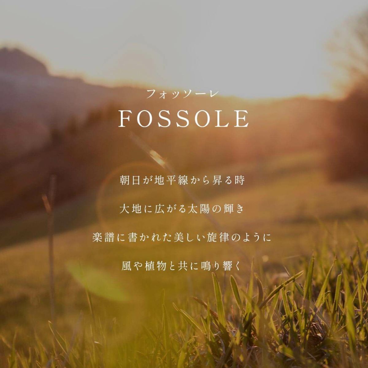 FOSSOLE NECKLACE